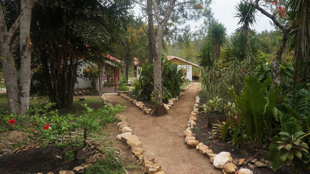 Pine Ridge Lodge San Ignacio Exterior photo